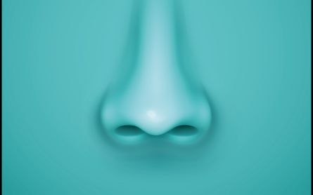 The Nose and the Miraculous Ability to Smell